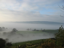 Misty Valley